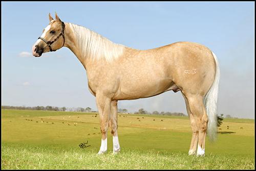 Animal - THIS GUY HAS CLASS